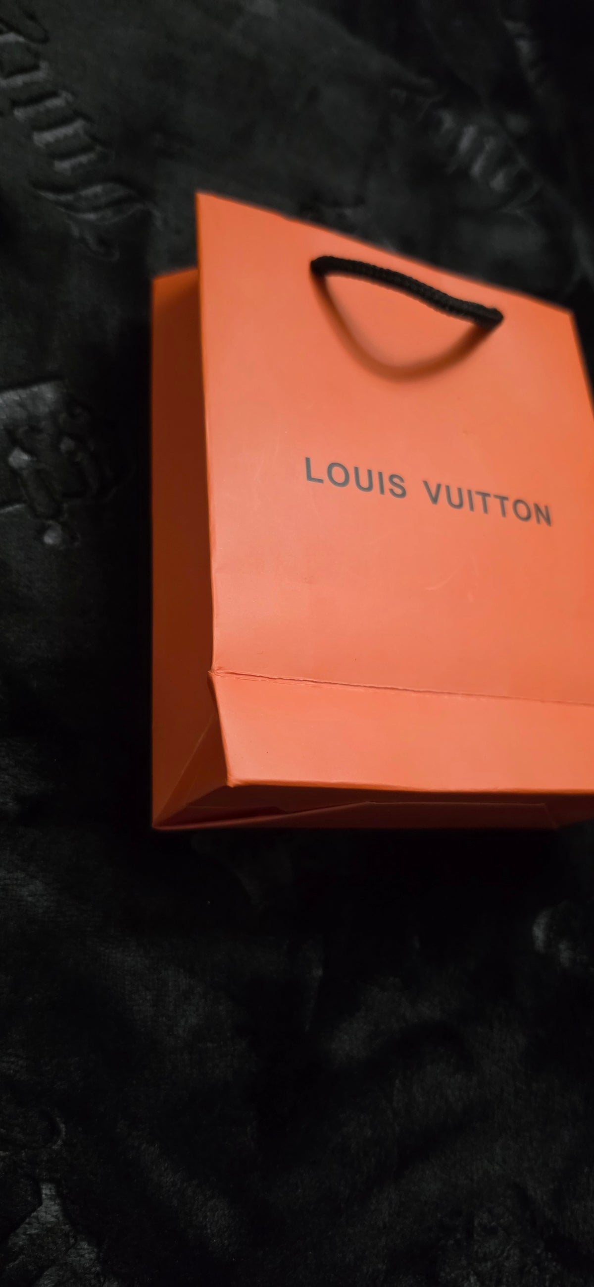 LV Gift Bag